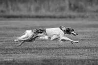 Prelim Open Silken-0395-2