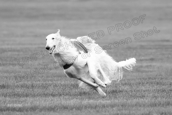 Open Prelim Bluegene Rhett Zen-0495-2