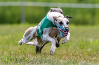 SUNDAY RACING