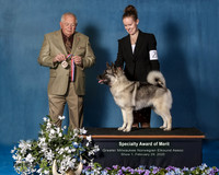 Elkhound 2020-1090-Edit