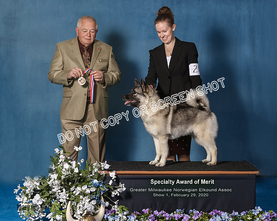 Elkhound 2020-1090-Edit