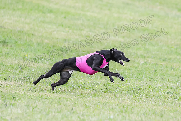 Prelim Open E2, Devo Wyatt Shadow-9066