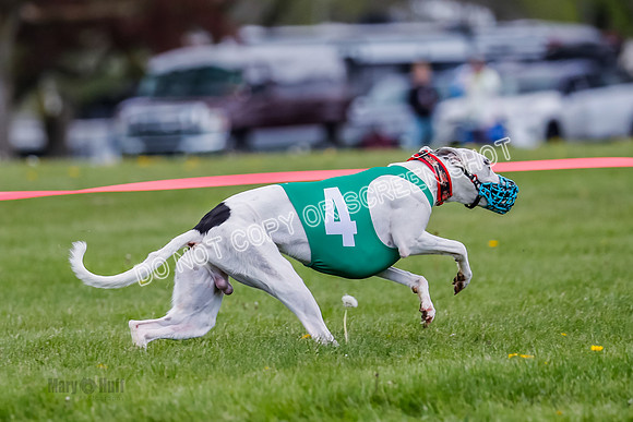 NOTRA Program 2, Race 7, Ragnar Power Sandy Elvis-2-14