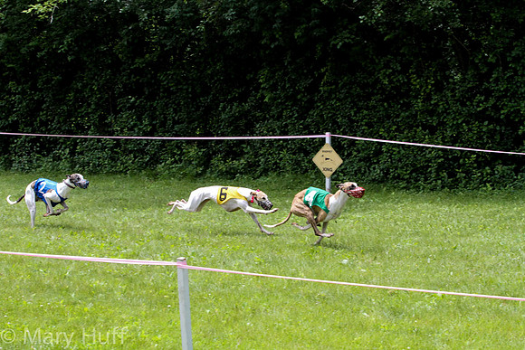 IMG_3767