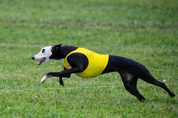 Prelims Open A2, Poppy Mateo Misty-3246
