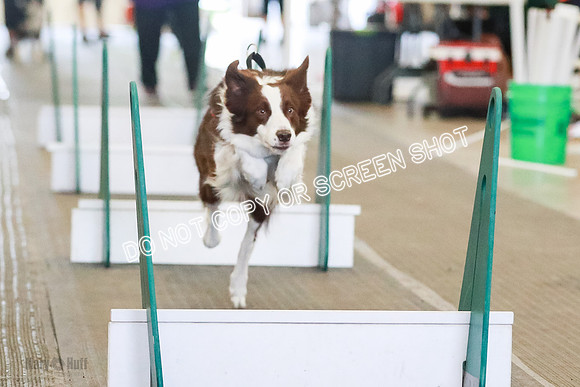 AE4I3681