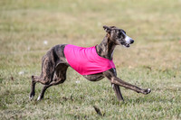 Finals Lena-3723