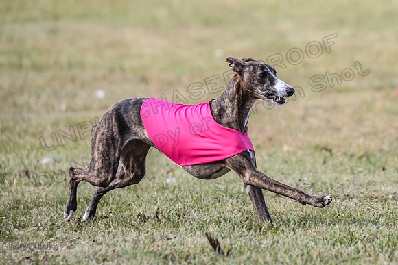Finals Lena-3723