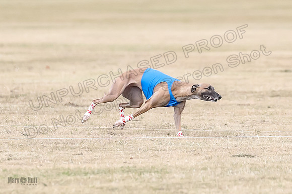 1Prelim Open 3 Eggsy Trixie Treble-3012