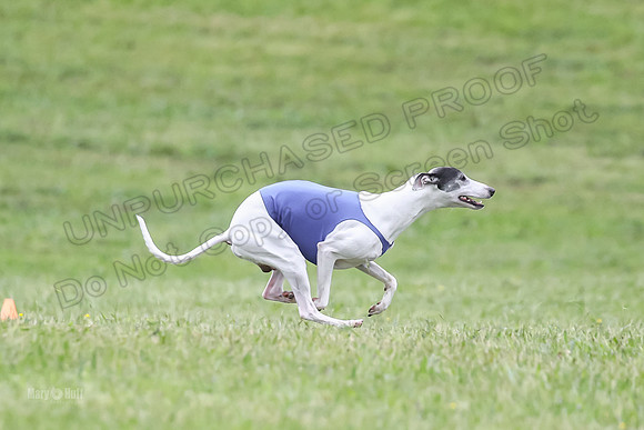 Prelim Open E2, Devo Wyatt Shadow-9083
