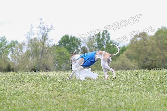 Finals Open C2, Tessa Squiggle Shimmy-0698