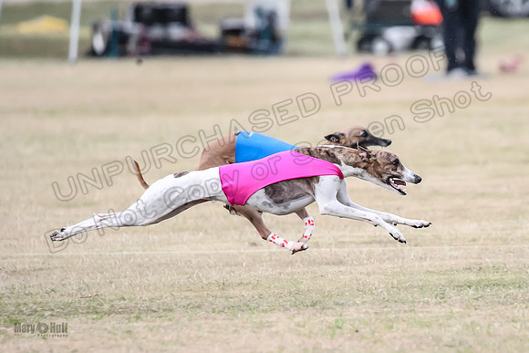 1Prelim Open 3 Eggsy Trixie Treble-3056