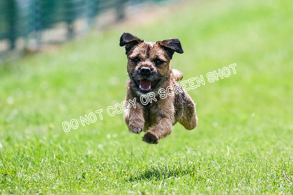 MCH70477