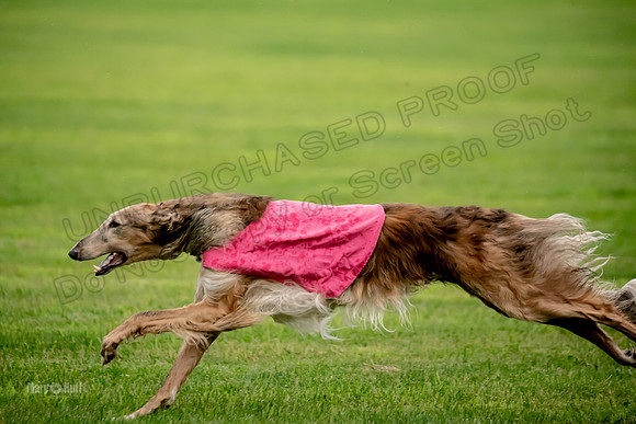 Open Prelim Bluegene Rhett Zen-0500