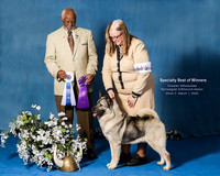 Elkhound 2020-1207-Edit-2