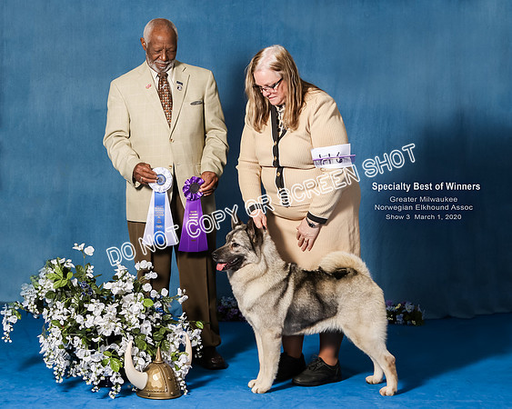 Elkhound 2020-1207-Edit-2