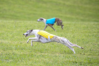 Prelim Specials A1, Booster Leo KinkyBoots-9601