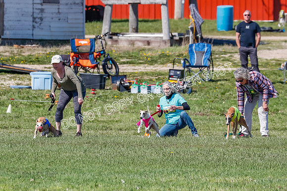 Prelim, Rocky Shimmy Zed-2392