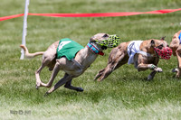 Prg 4, Race 5, Bibi, Hornet, Deal, Rum