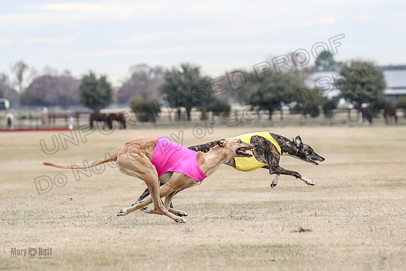 1Prelim Spec 1 Terra Bonnie-2597