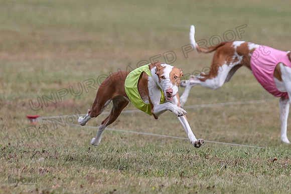 Finals Fch 1 Beastie Jadis Ginny-7902