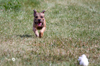 IMG_8397