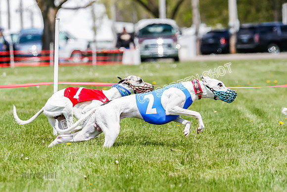 NOTRA Program 3, Race 3, Eddie Elvis Picanha Coyote-2-27
