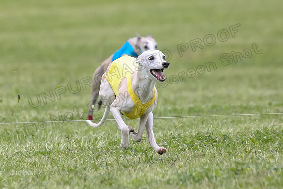 Finals Open C1, Oscar Strummer Rex-0628