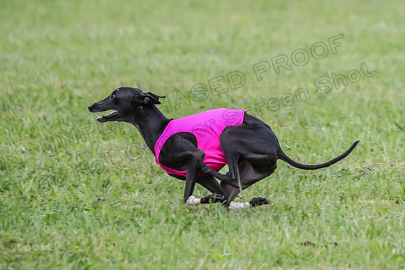 Prelim Open F2, Trippit Sid Fva-9267