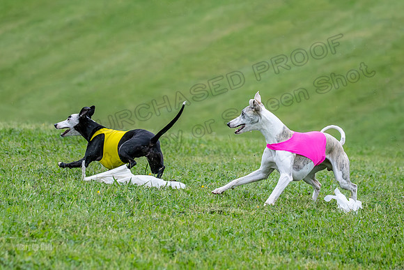 Prelims Open A2, Poppy Mateo Misty-3252