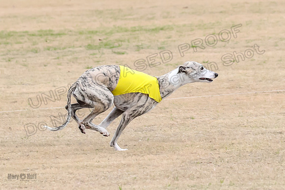 1Prelim Open 3 Eggsy Trixie Treble-3038
