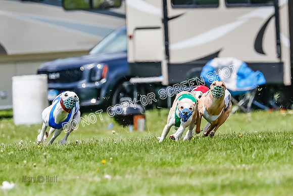 NOTRA Program 3, Race 3, Eddie Elvis Picanha Coyote-2