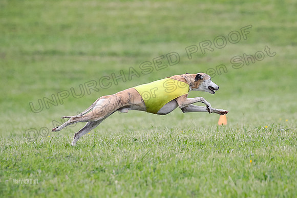 Prelim Veterans 7, RickyBobbie Parker-0292