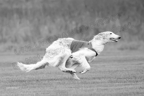 Open Prelim Bluegene Rhett Zen-0490-2