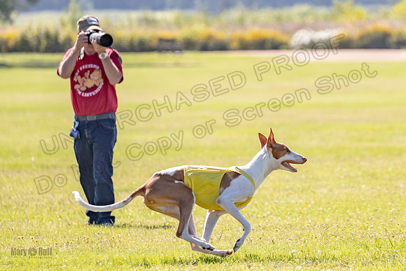 Prelims Open Jagger Maverick-5359