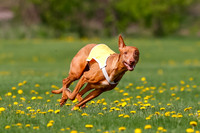 _E4I4981