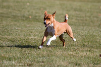 IMG_1079