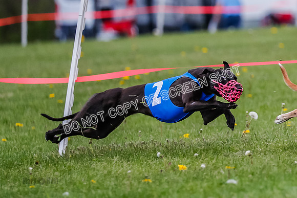 NOTRA Program 2, Race 7, Ragnar Power Sandy Elvis-2-8