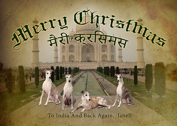 Honza 2014 Christmas Card