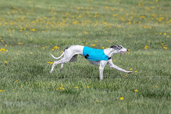 1Prelims Specials B6 Mantle PeteySue Echo-1593
