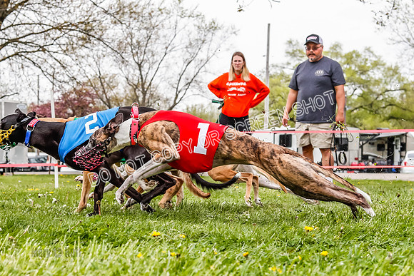 WRA, Prg 3, Race 6, Warrior Beacon Picanha Smudge Entei-9191