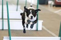 AE4I3736