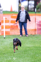 MCH70335