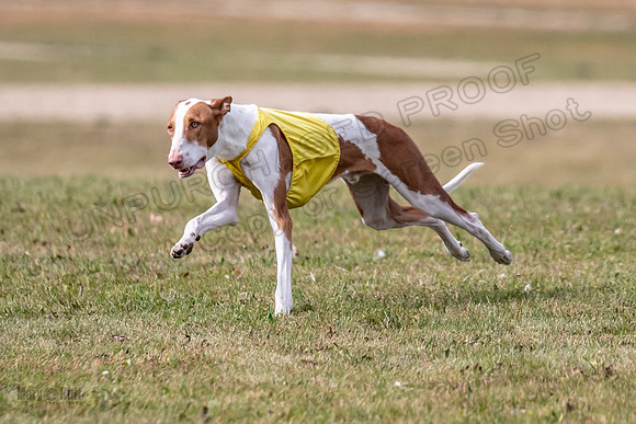 Finals Open 1 Jagger Maverick-3019