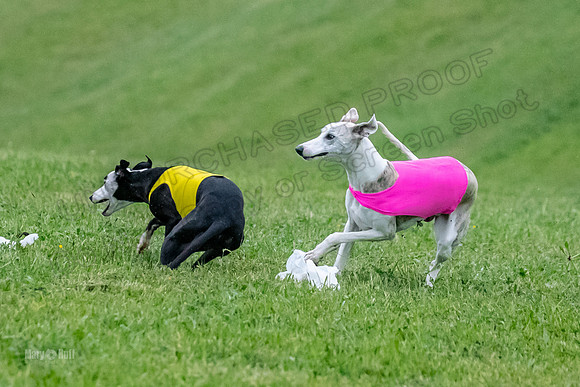 Prelims Open A2, Poppy Mateo Misty-3250