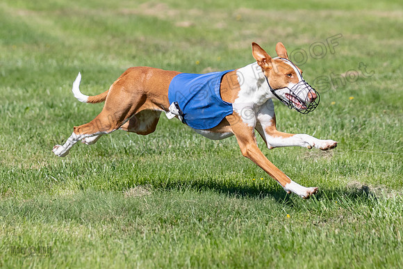 Prelims Fch 1 Ginny Willow Madyson-5478