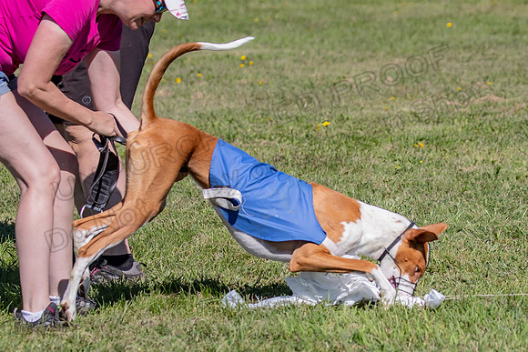 Prelims Fch 1 Ginny Willow Madyson-5513
