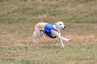 1 Prelims Open 1 AnnieOakley Fennec Zero-1240