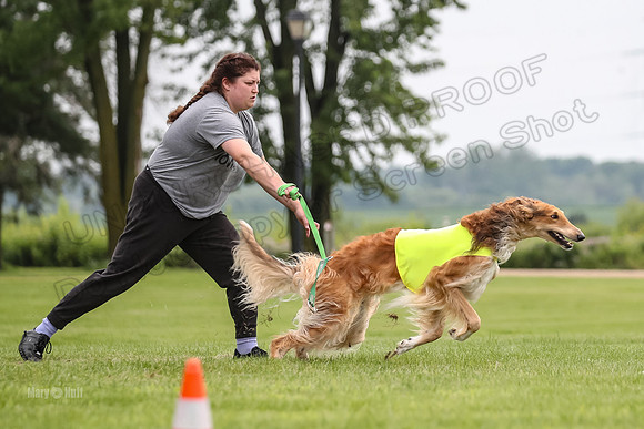 Finals Freebie Masquerade-2057
