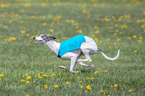 1Prelims Specials B6 Mantle PeteySue Echo-1580